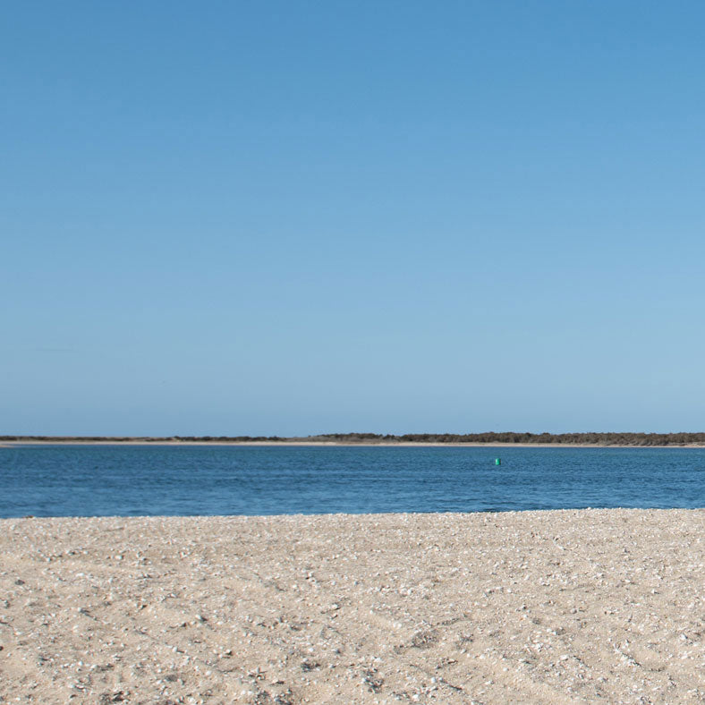 Giving Back to Mother Earth on Earth Day