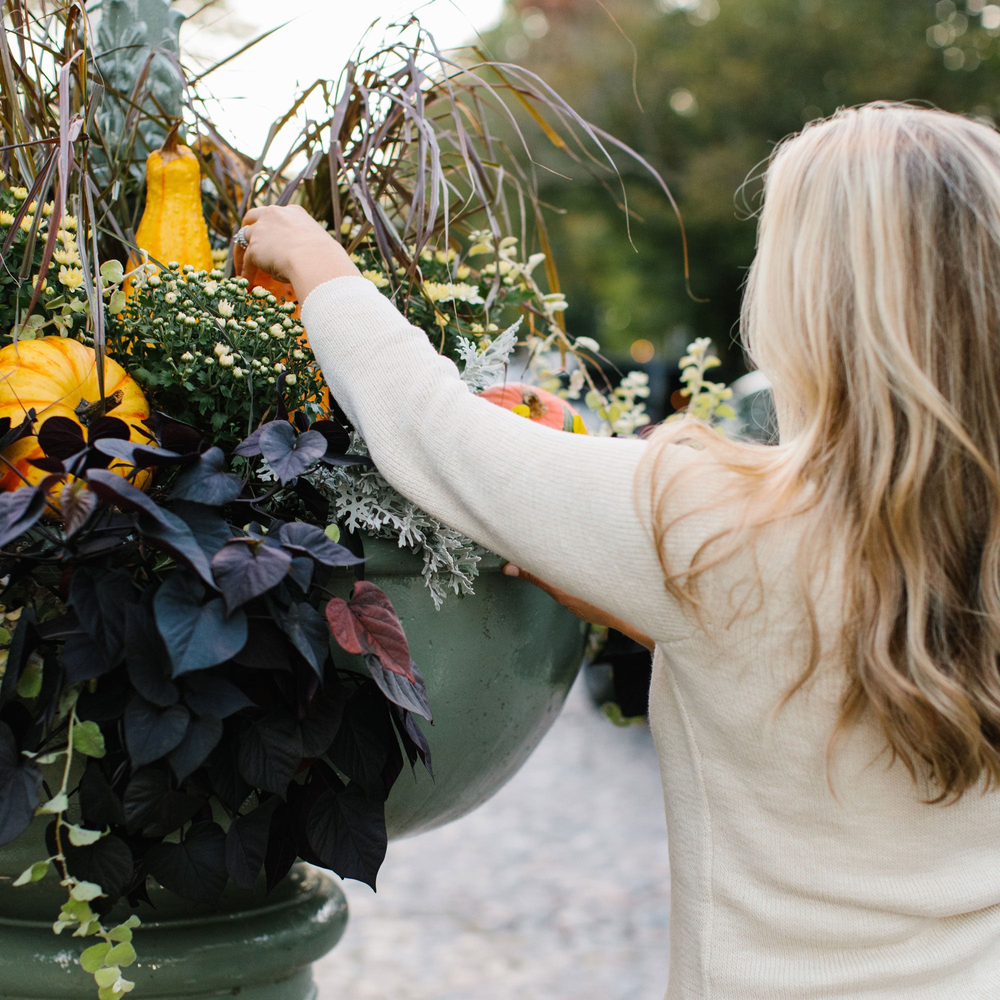 Costumes, Candy And Cobblestones - Halloween On Main Street