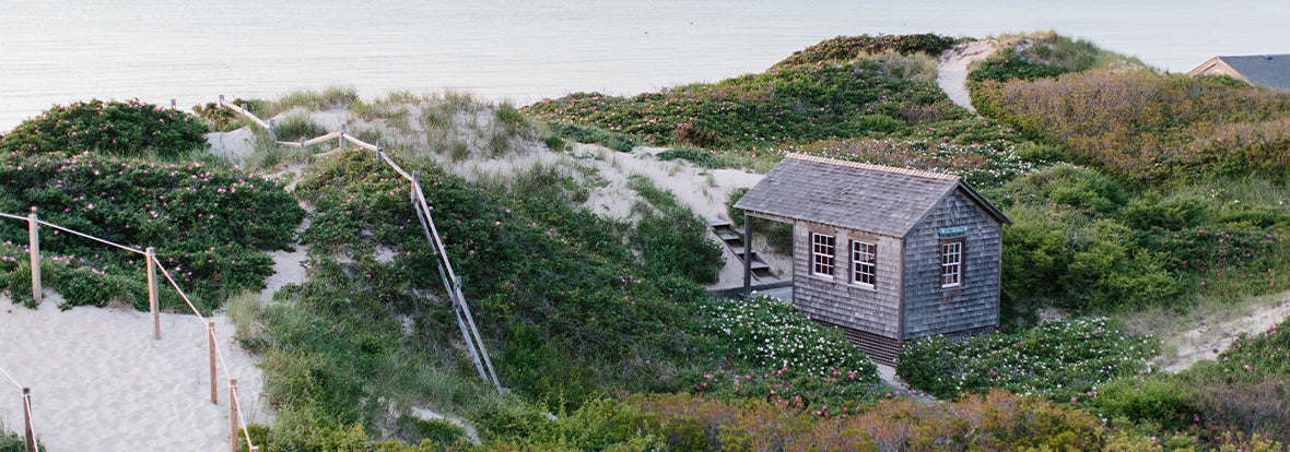 Summer Beach Shack