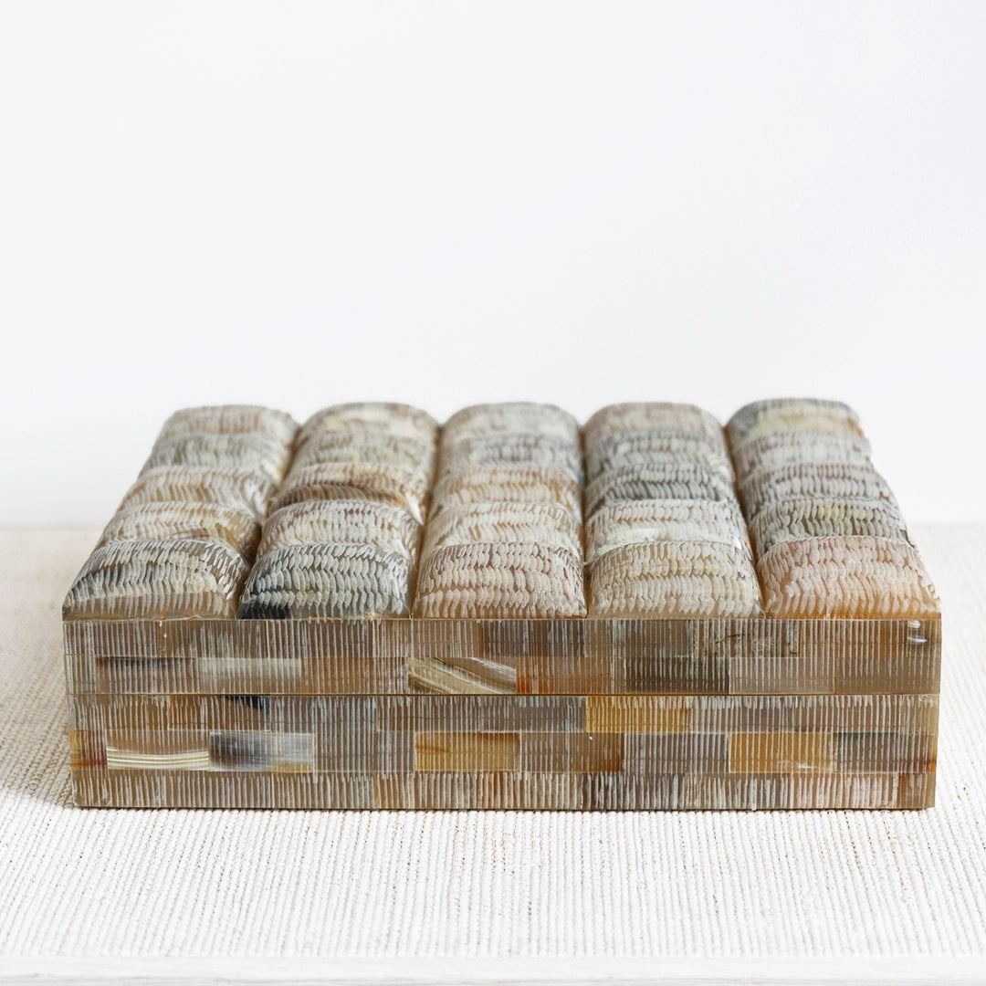Chiseled Decorative Horn Box