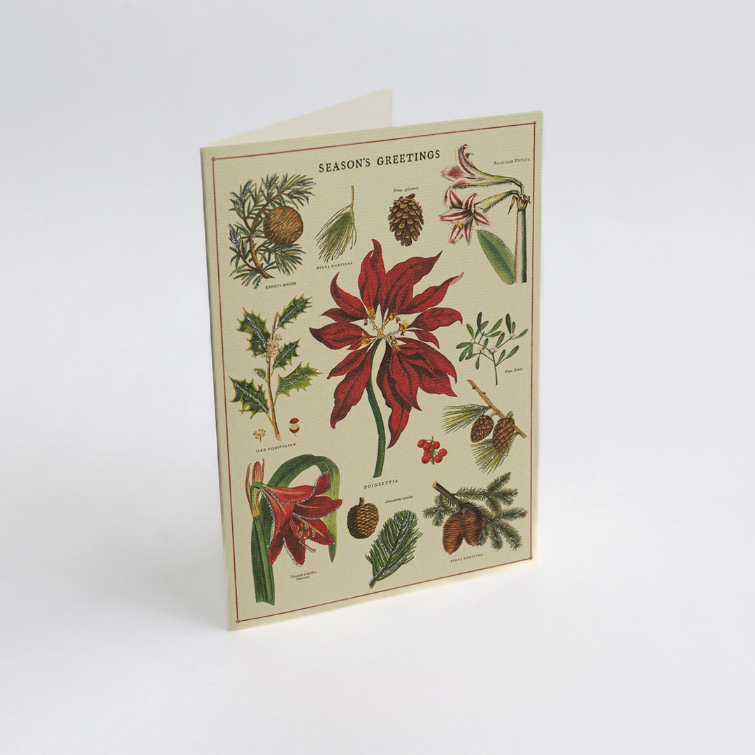 Holiday Botanical Note Cards