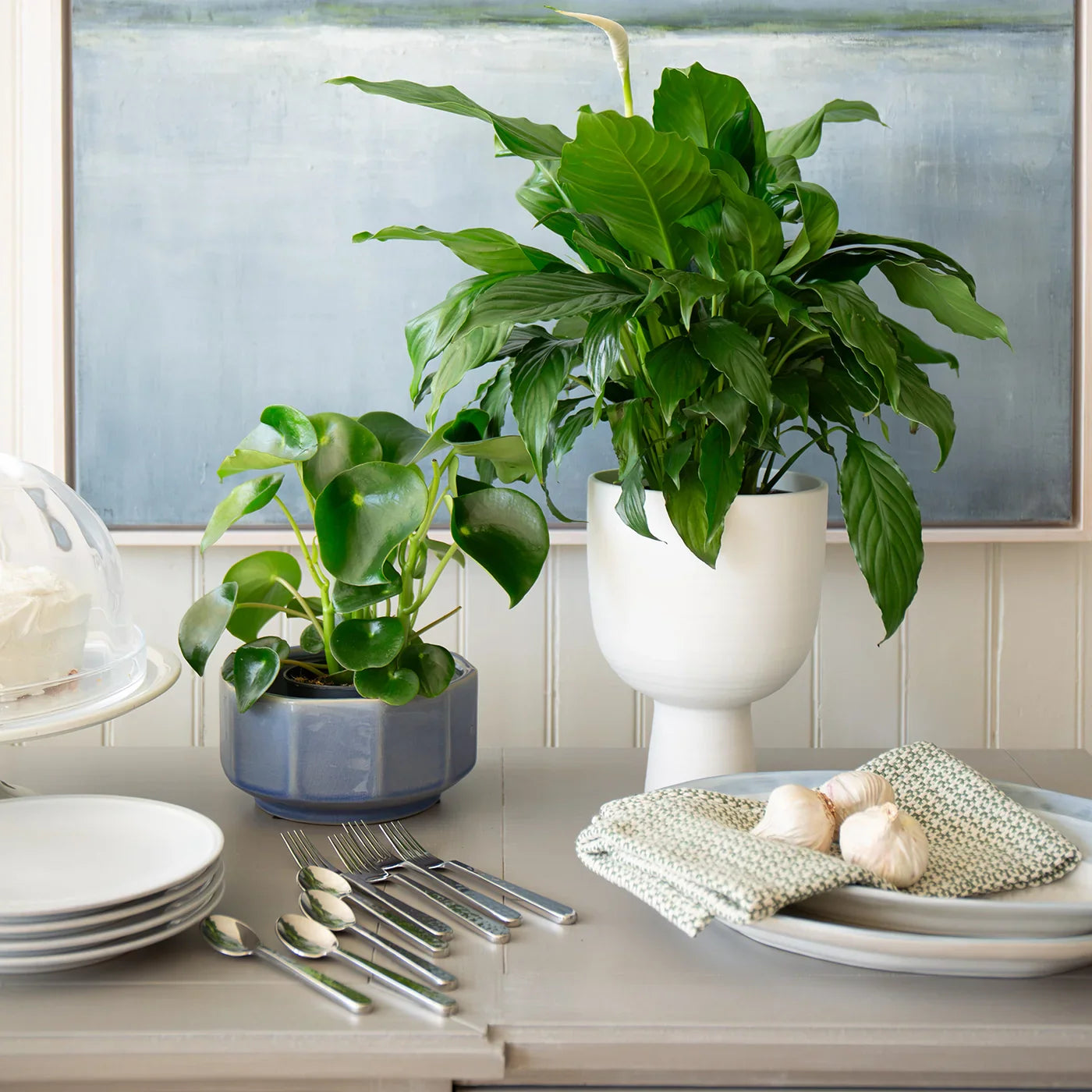 Matte White Ceramic Vases