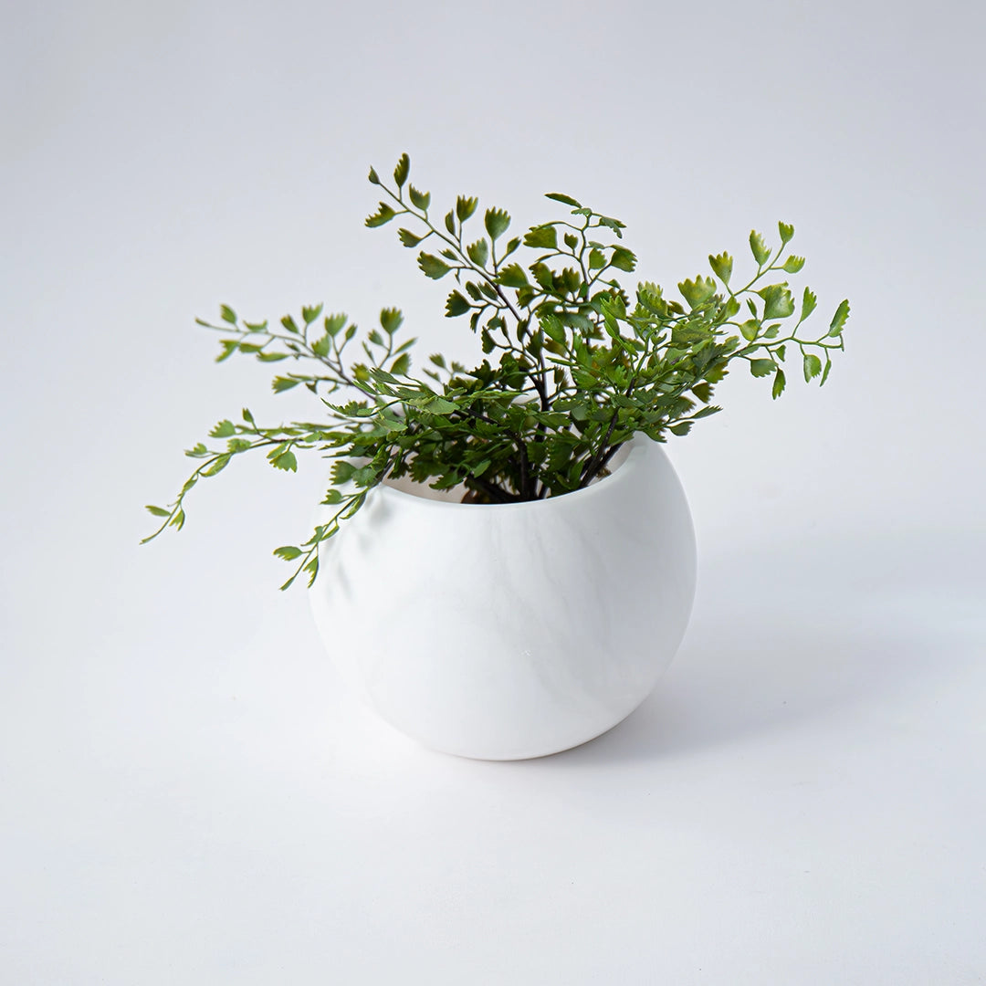 Alabaster Bowl