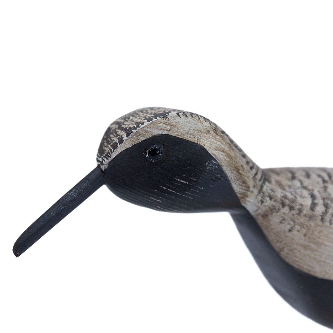 Black Bellied Plover Carving | William Sarni