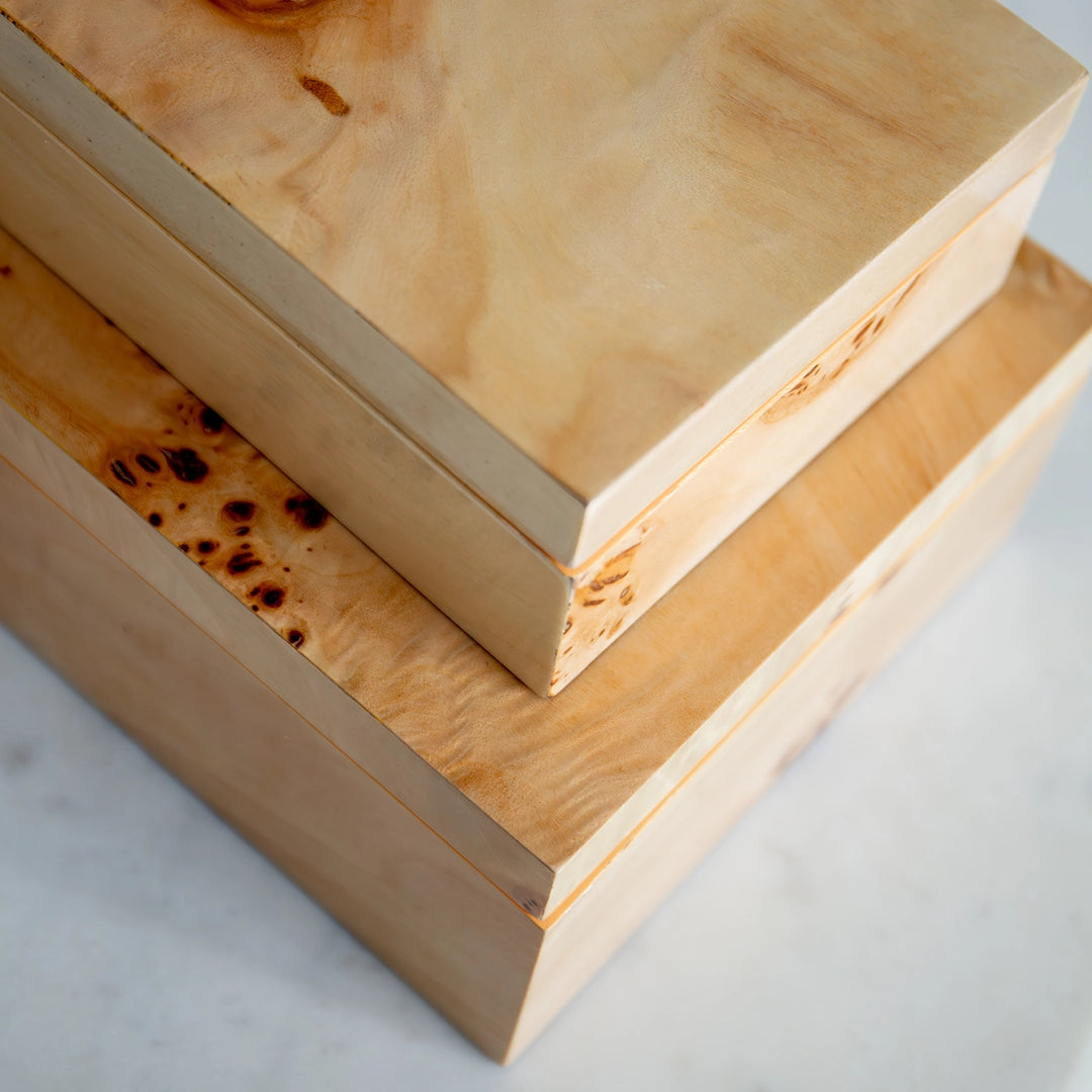 Burl Wood Storage Box