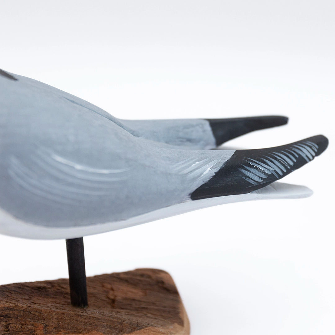 Common Tern Carving | William Sarni