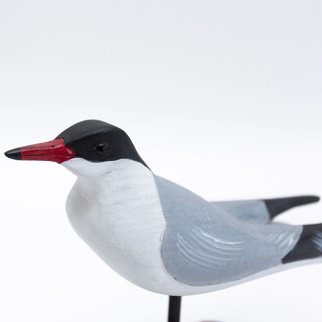 Common Tern Carving | William Sarni