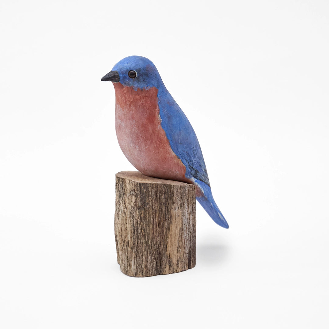 Eastern Bluebird Carving | Robert Reeve