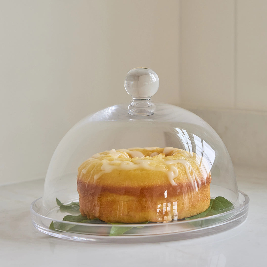 Glass Plate & Dome Set