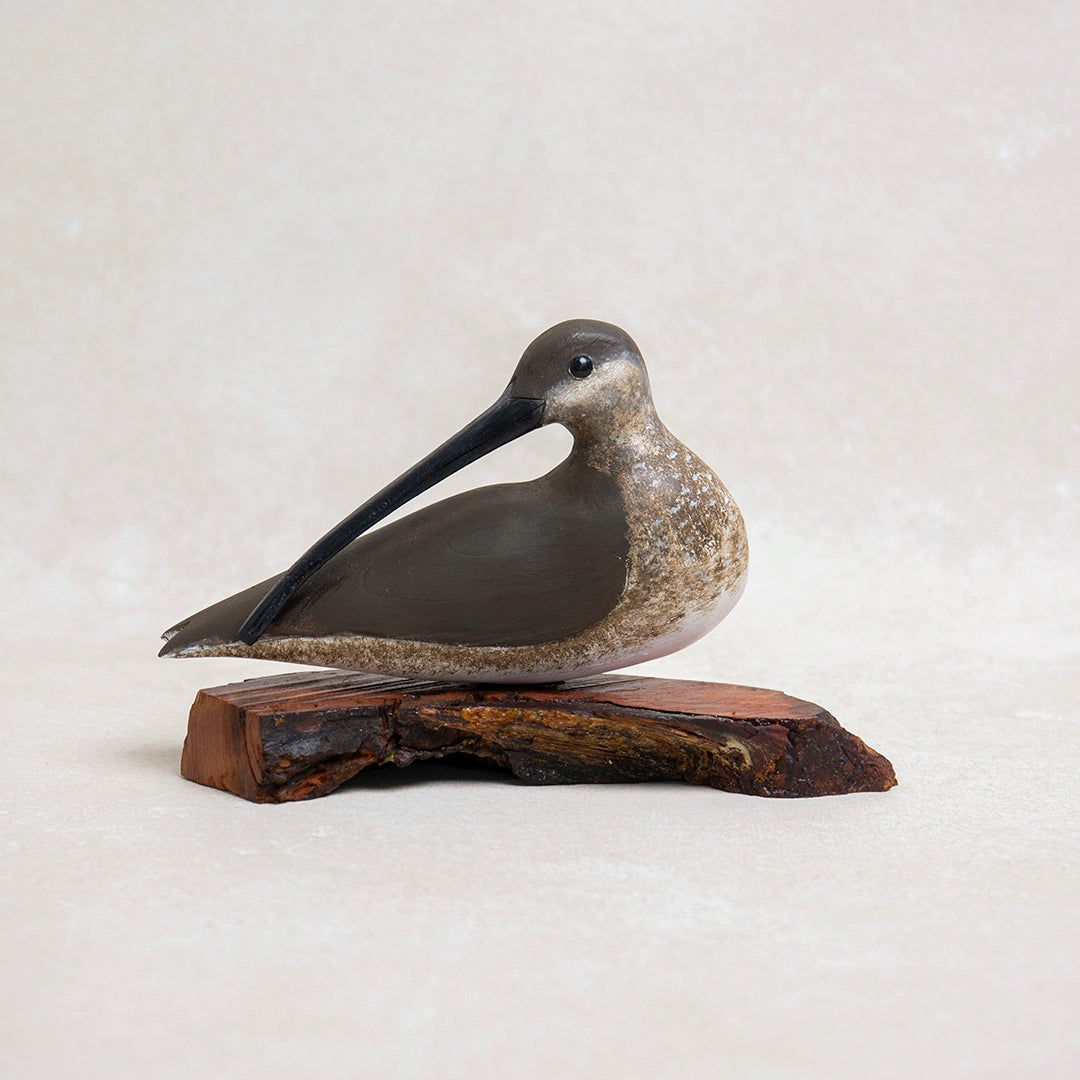 Handcarved Resting Curlew Shore Bird | William Sarni