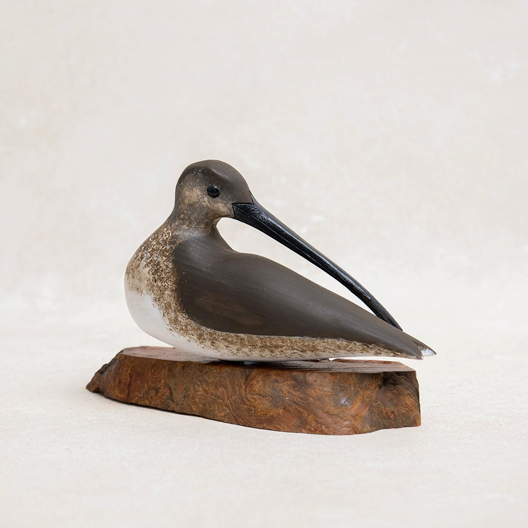 Handcarved Resting Curlew Shore Bird | William Sarni