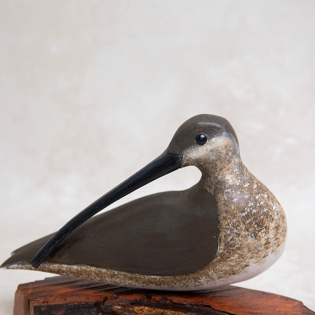 Handcarved Resting Curlew Shore Bird | William Sarni
