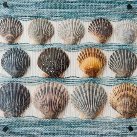 Handwoven Scallop Vignette | Rebecca Jusko Peraner