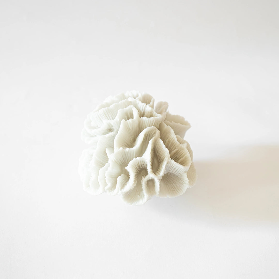 Ivory Coral Petal Decorative Sculpture