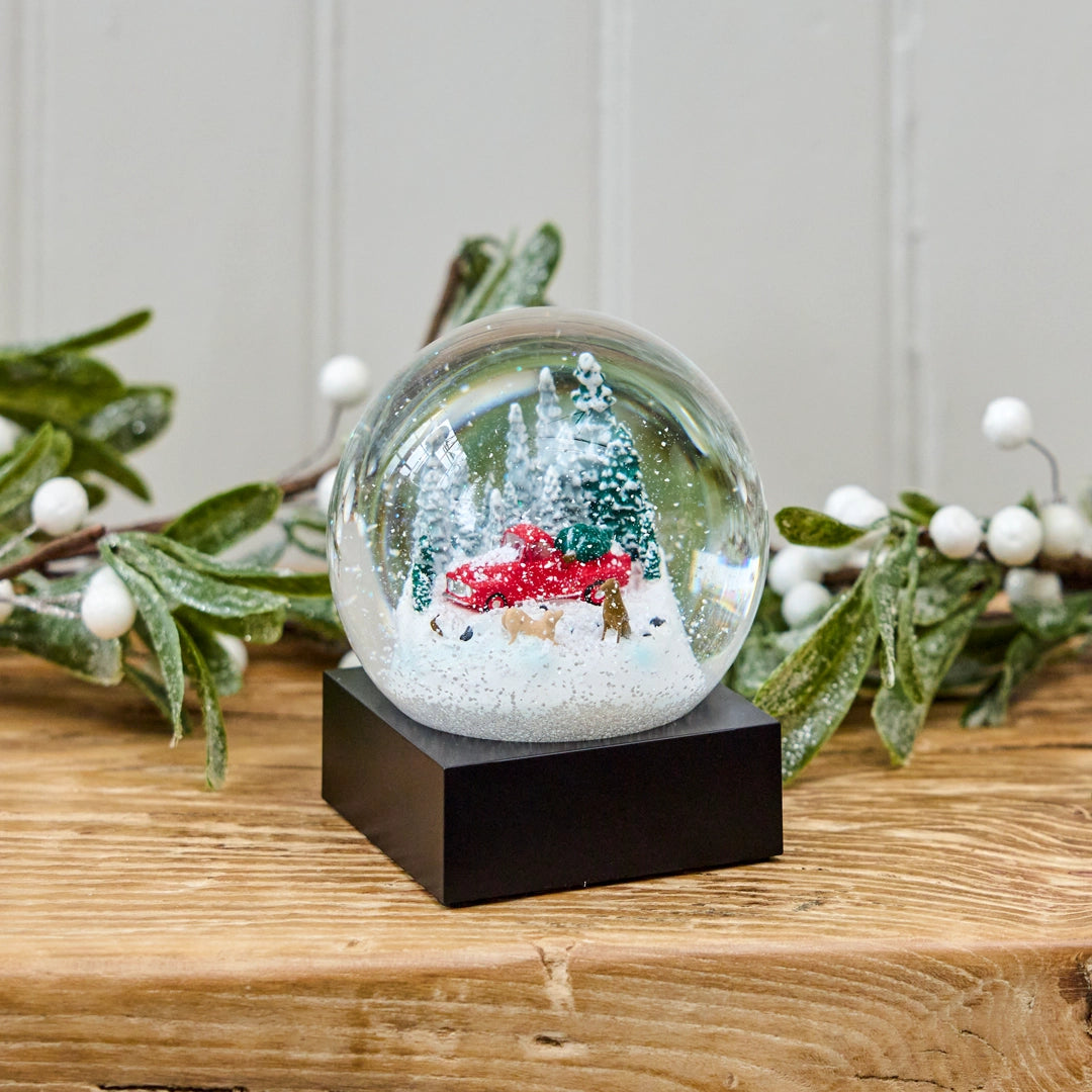 Red Truck and Dogs Snow Globe