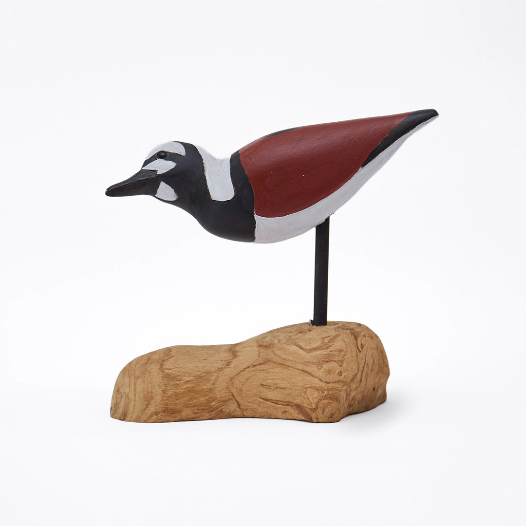 Ruddy Turnstone on Driftwood | William Sarni