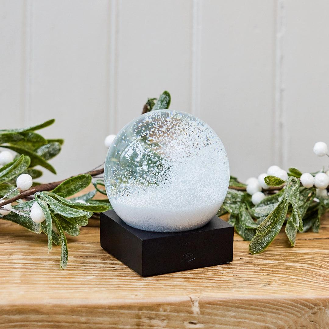 Snowball Snow Globe