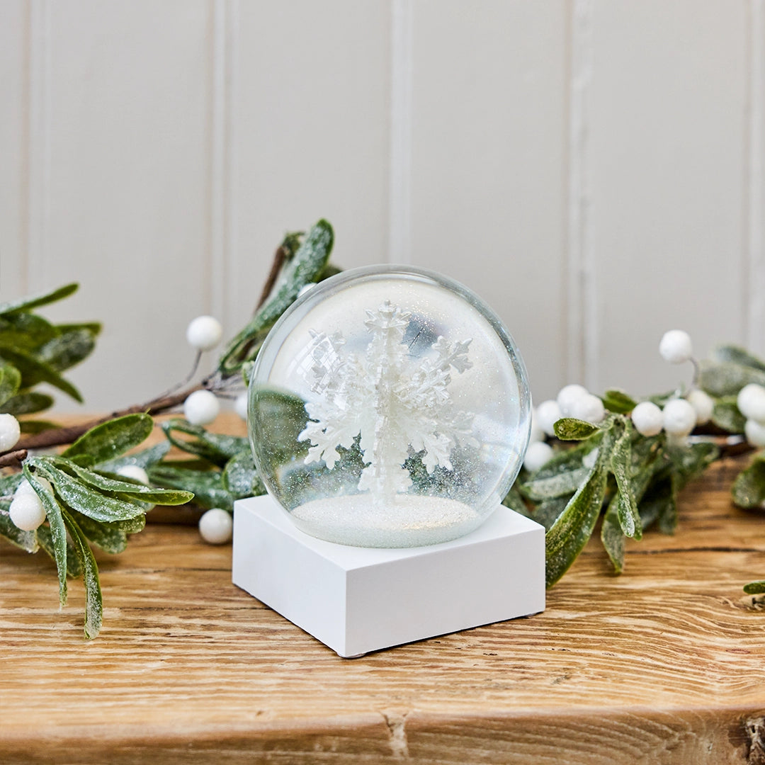 Snowflake Snow Globe