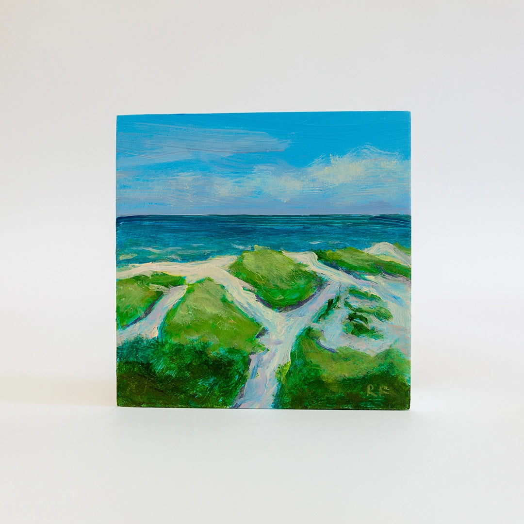 Steps Beach | Robert Frazier