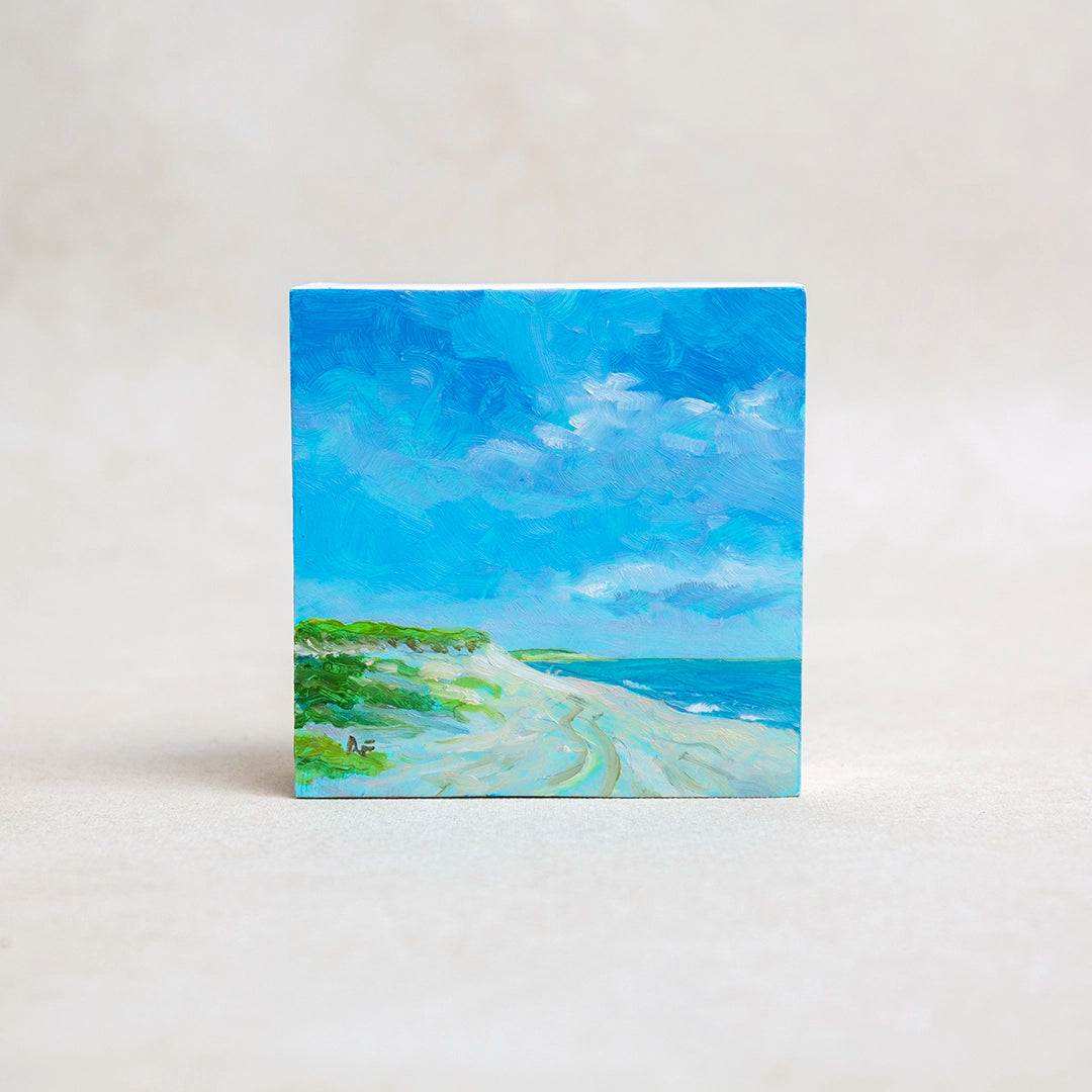Sunny Dune | Robert Frazier