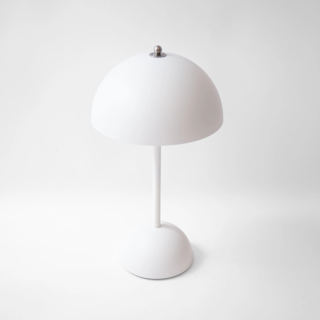 Portable Flowerpot Lamp