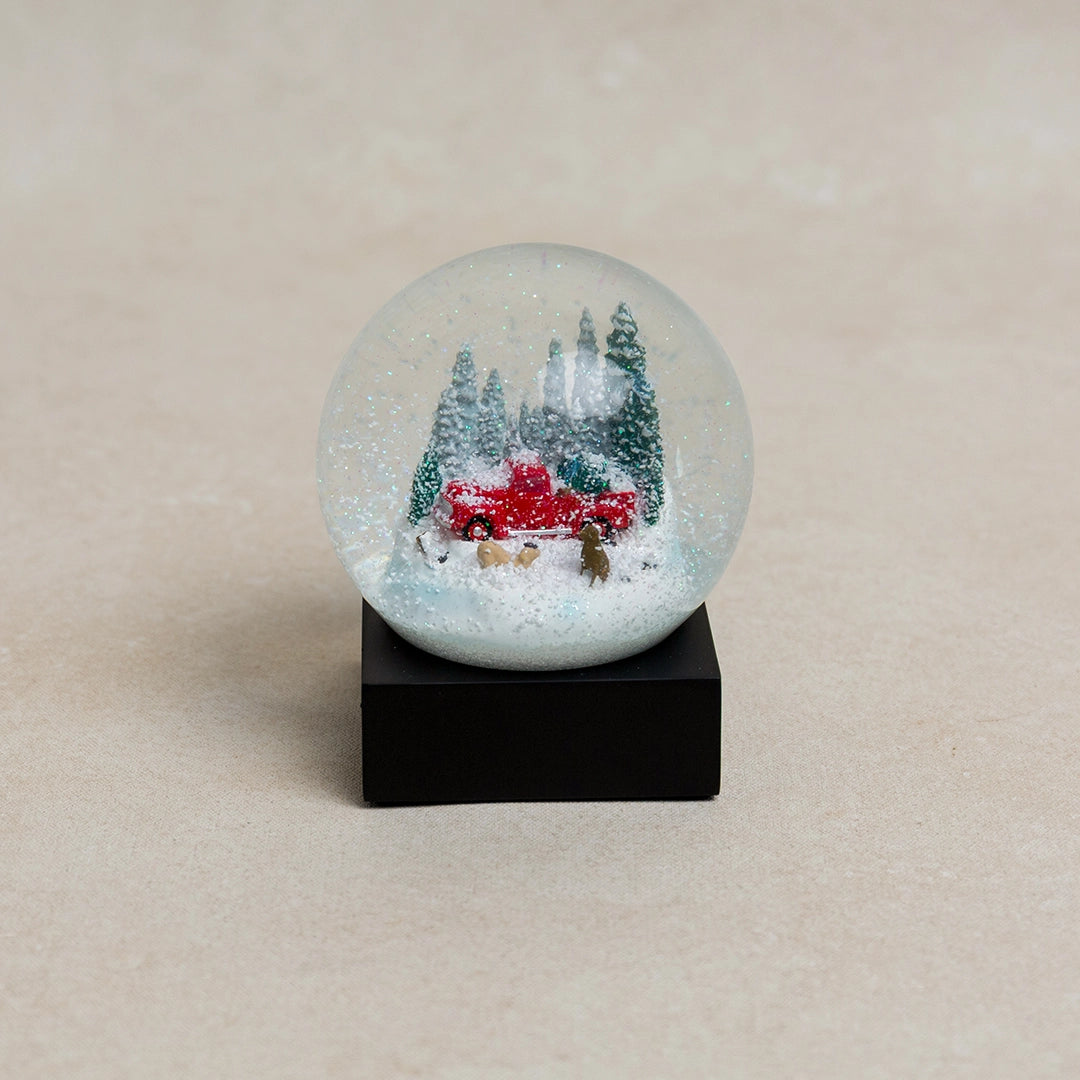 Red Truck and Dogs Snow Globe