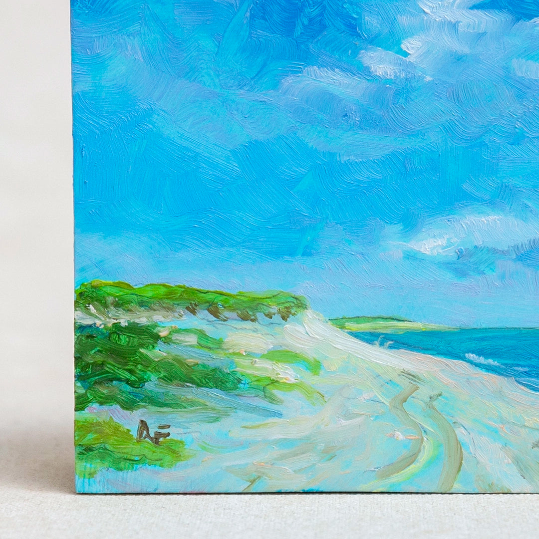 Sunny Dune | Robert Frazier