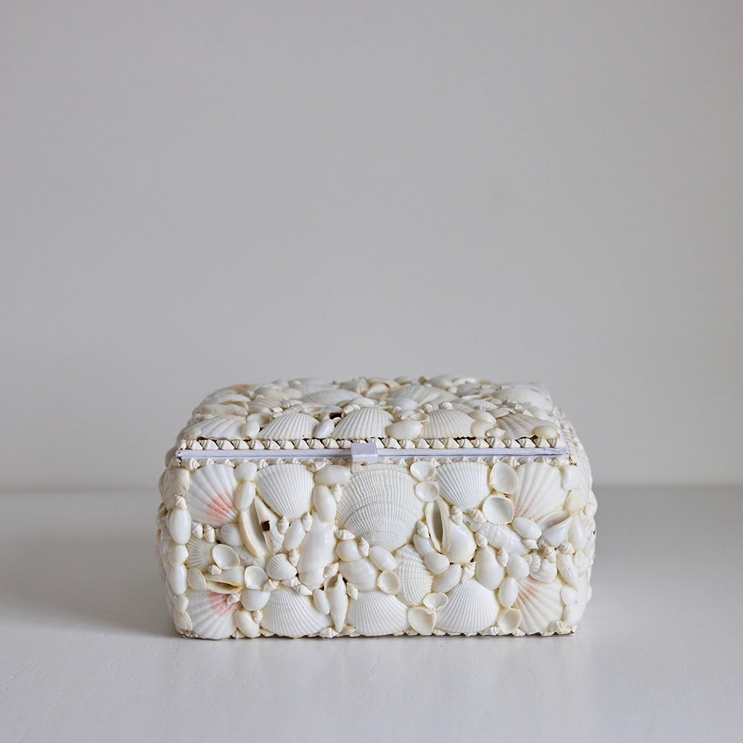 White Seashell Box