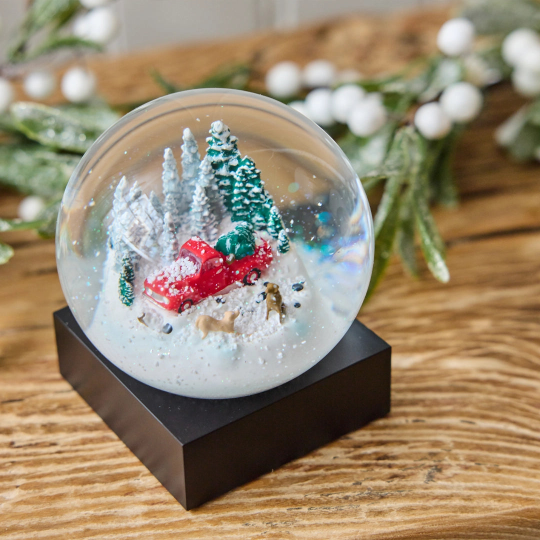 Red Truck and Dogs Snow Globe