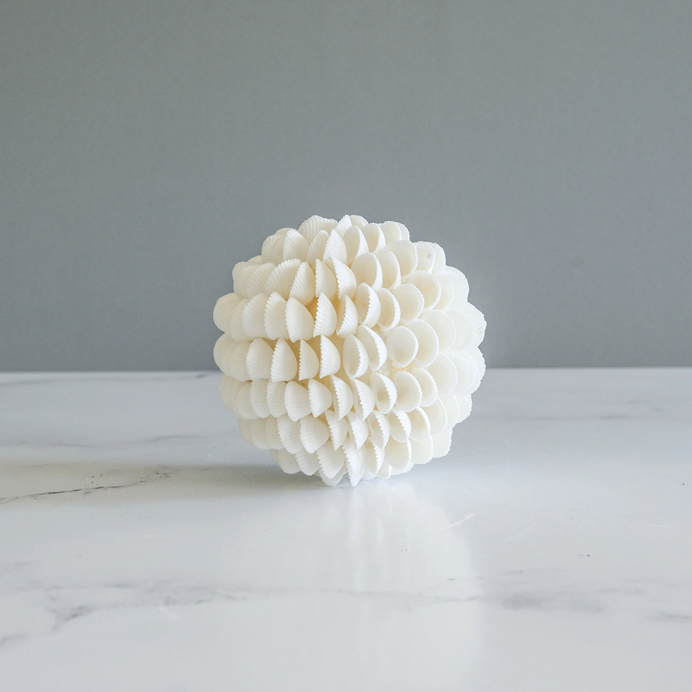 Decorative Shell Sphere