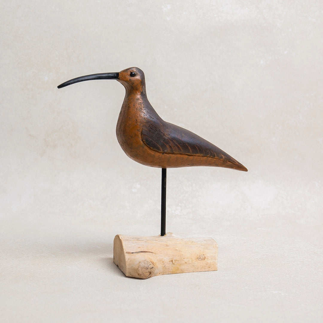 Handcarved Whimbrell Shore Bird | William Sarni