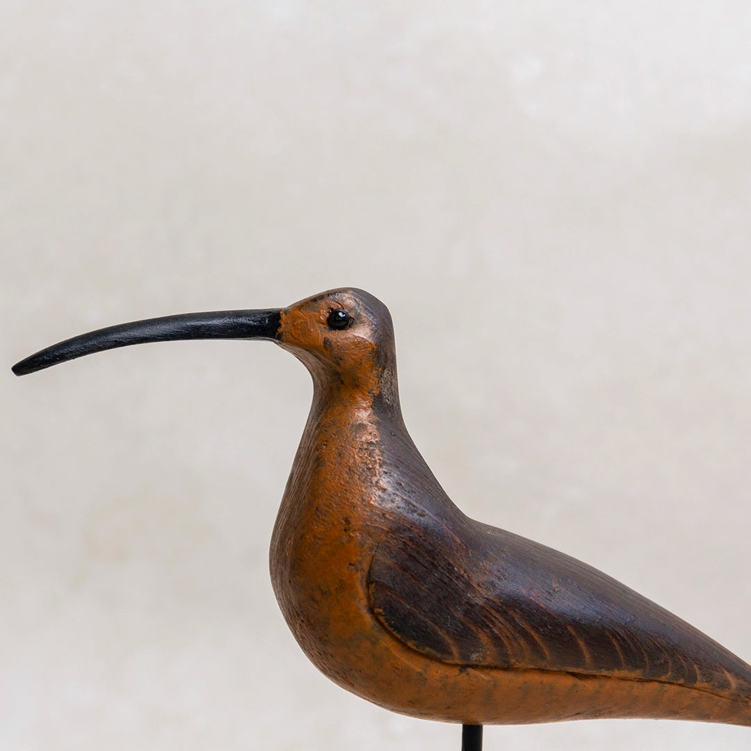 Handcarved Whimbrell Shore Bird | William Sarni