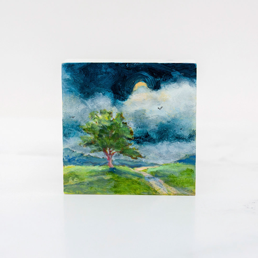 Pine on the Bluff | Robert Frazier