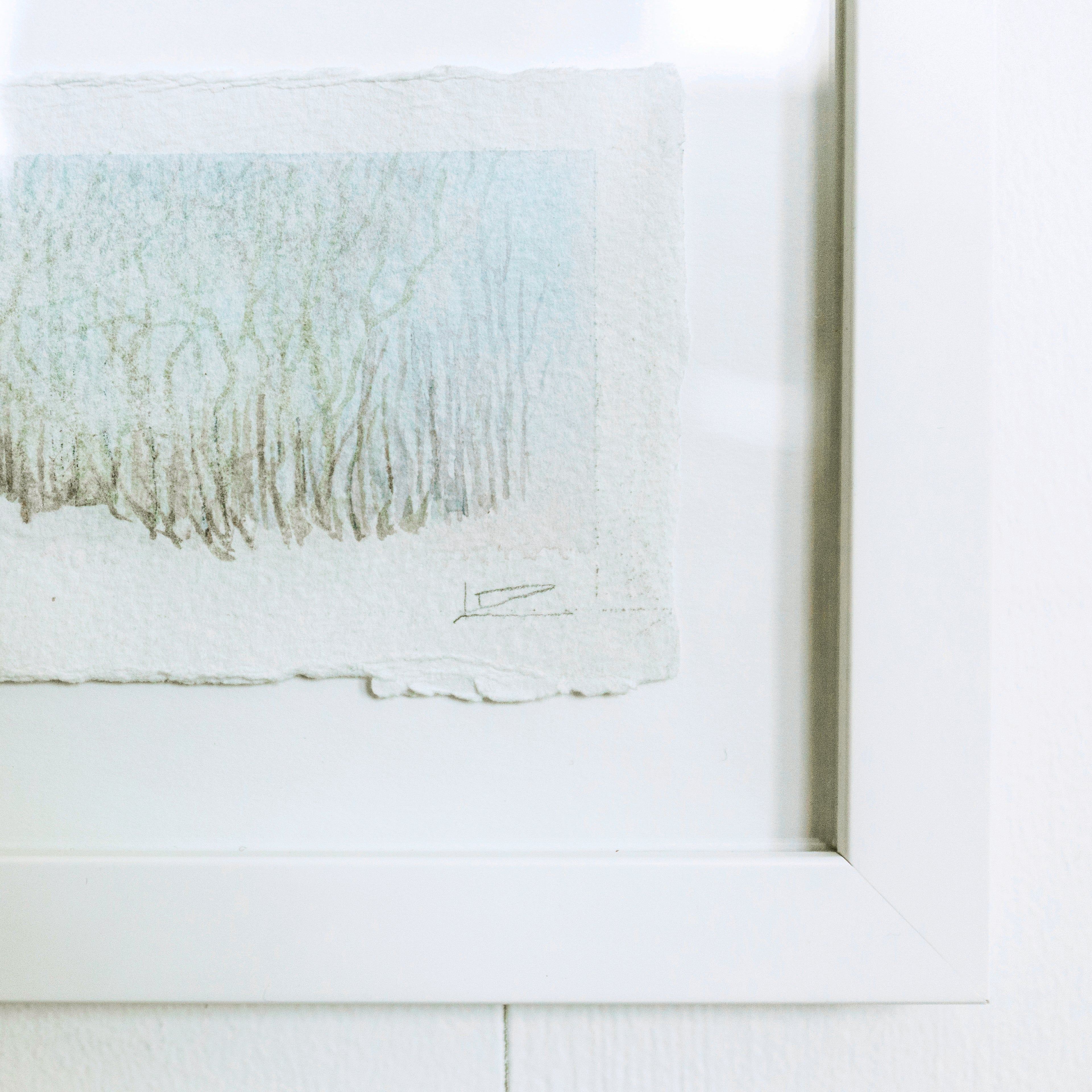 Trees and Blue Sky | MJ Levy Dickson