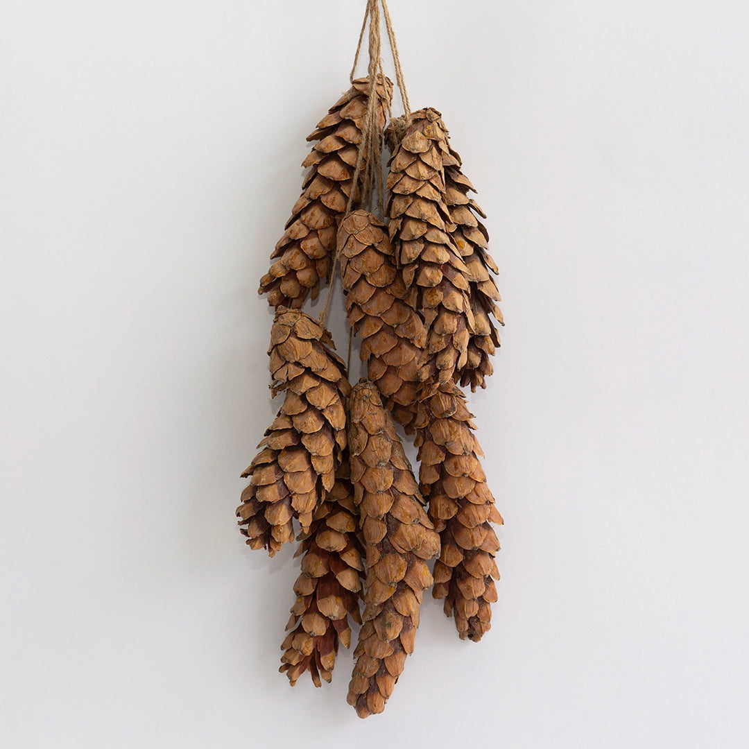 White Pinecone Bunch