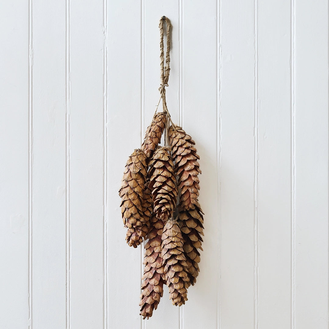 White Pinecone Bunch