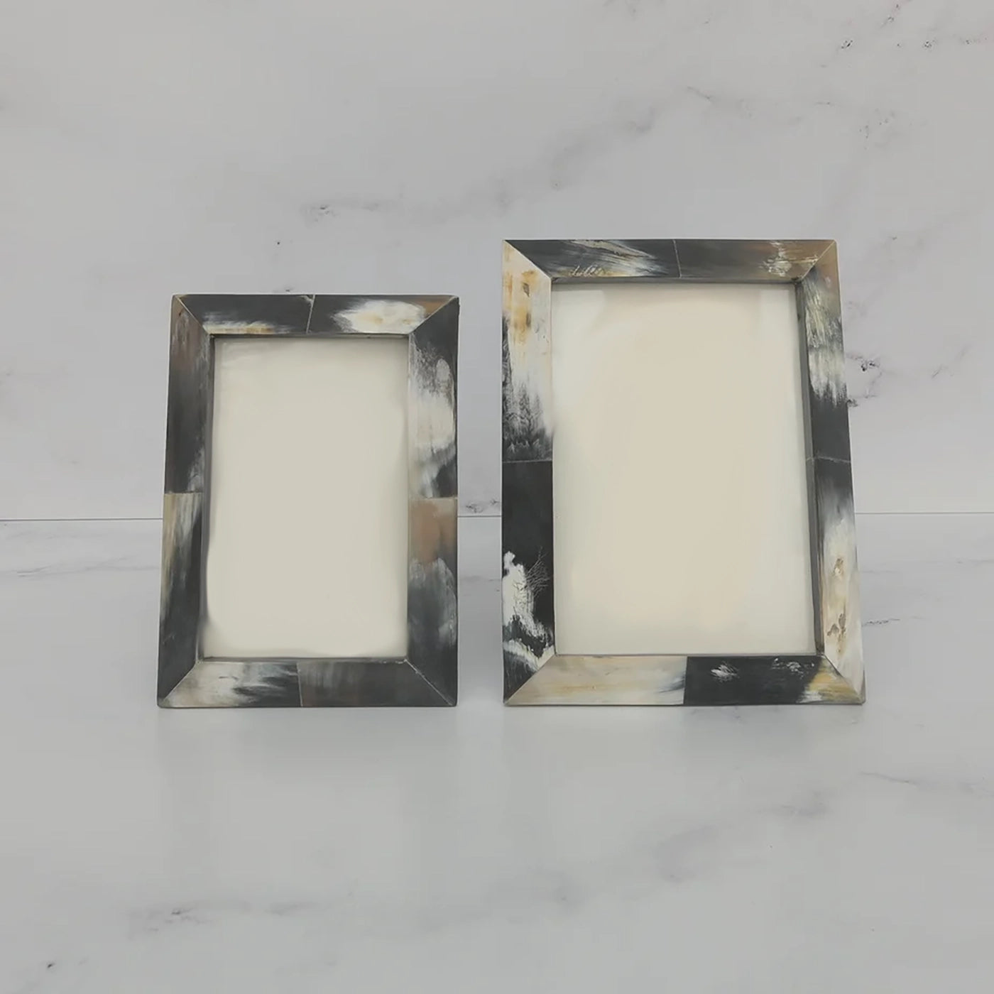 Dark Horn Frames