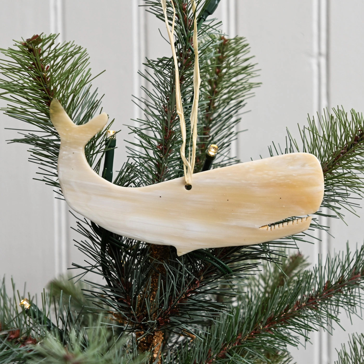 Sperm Whale Horn Ornament