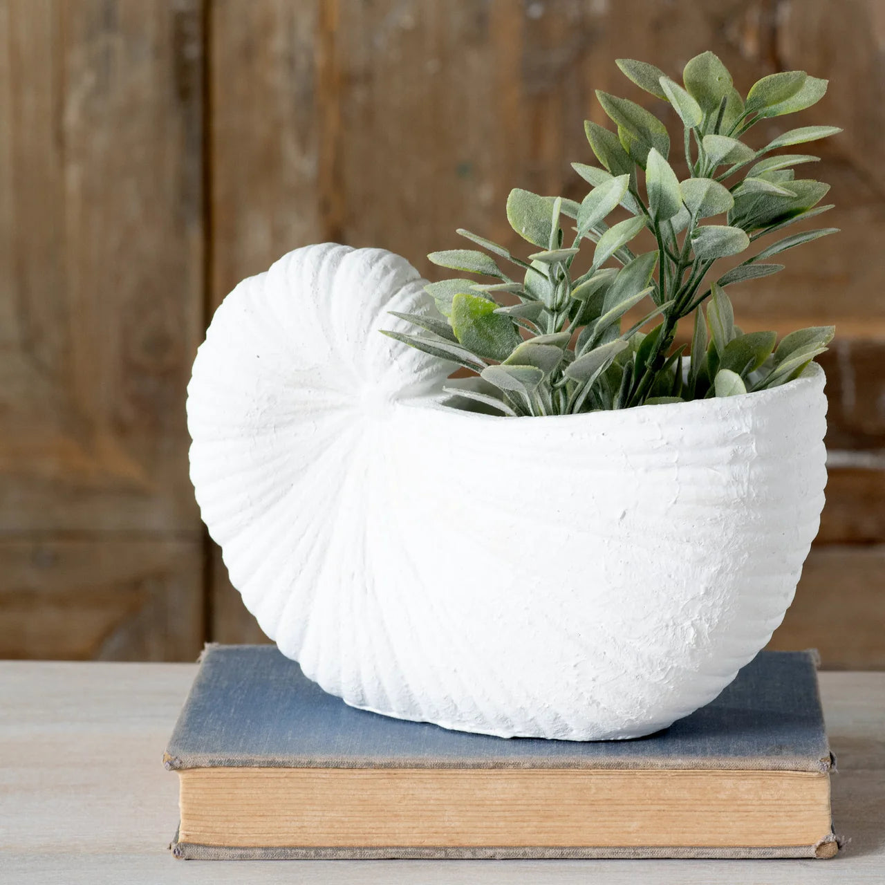 Nautilus Shell Planter