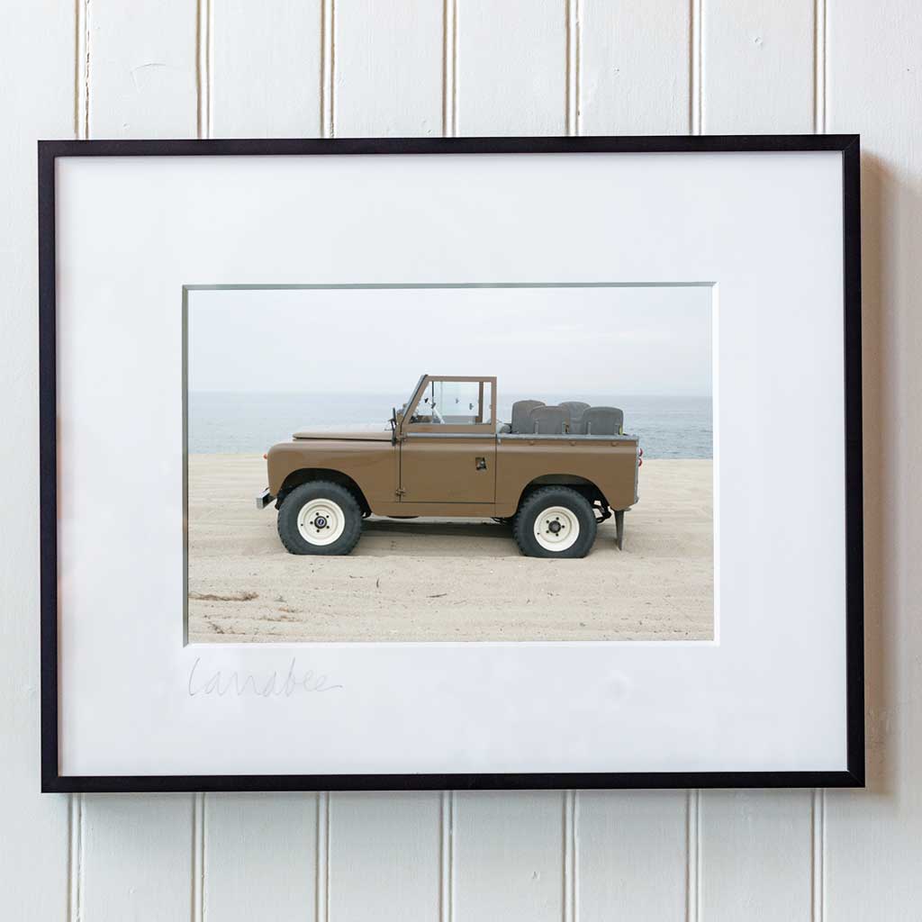 Wounded Defender | Ben Larrabee