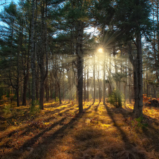 Winter On Nantucket: 9 more Things To Do