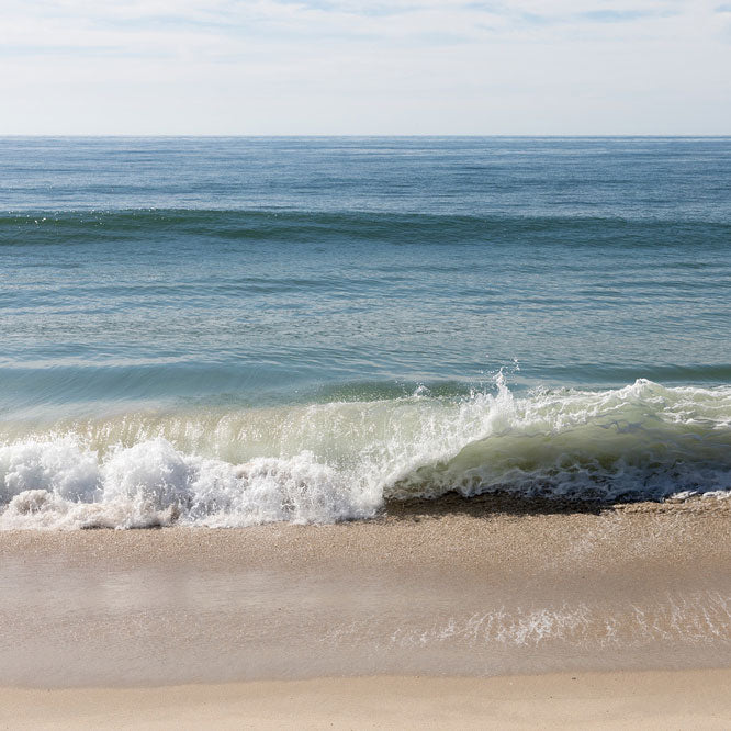 Inspired By the Nature That Surrounds Us