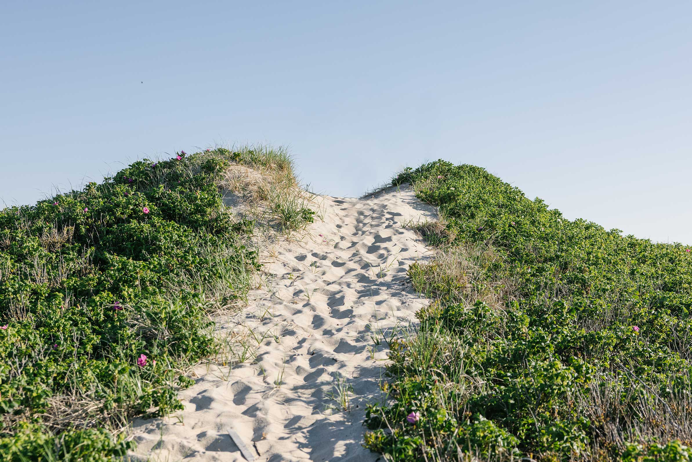  A woman stands barefoot on a sandy beach, gazing out at the calm ocean under a clear blue sky. She is wearing a cozy, coral-colored sweater from Nantucket Looms, showcasing the comfort and style of Nantucket Looms' apparel.