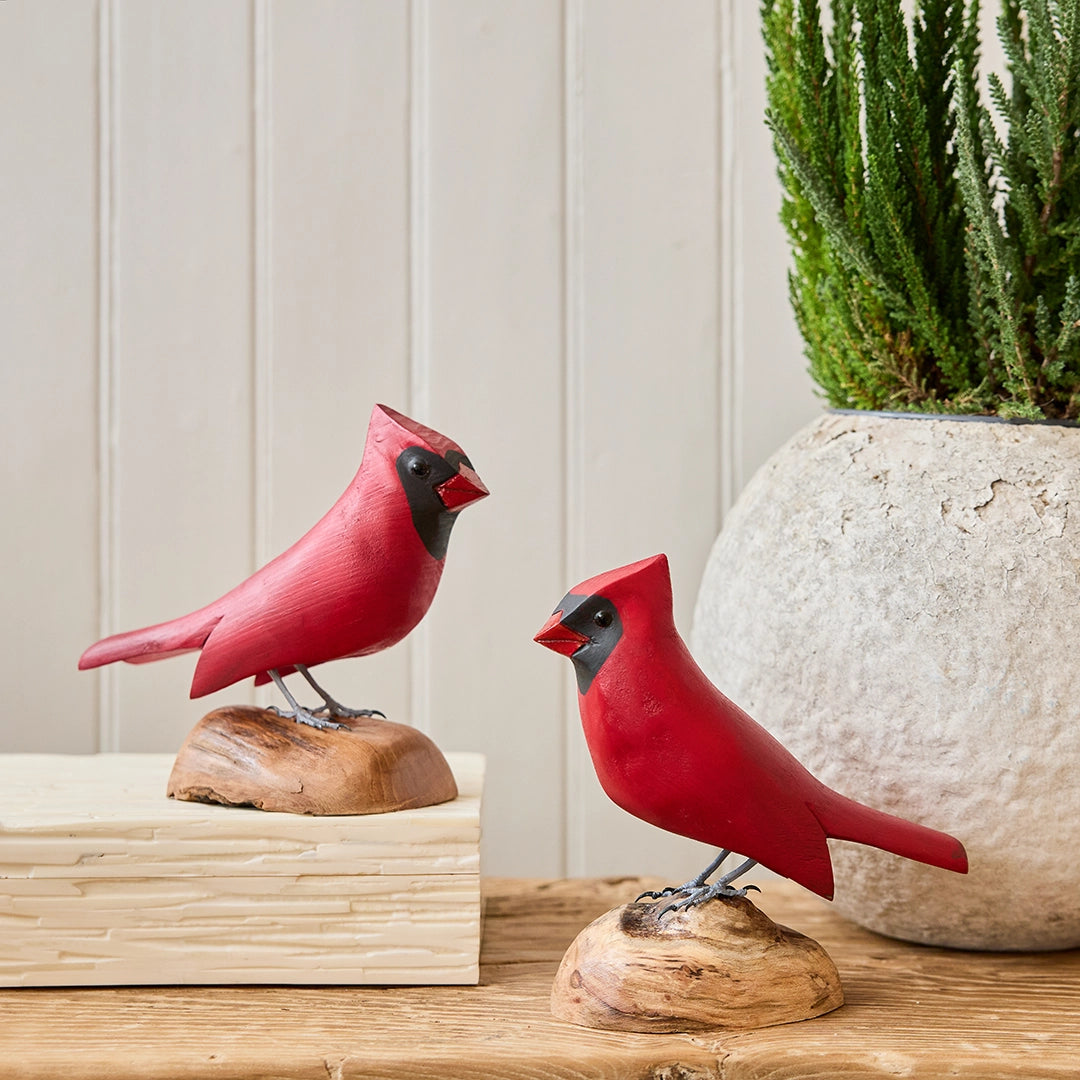 Cardinal on Driftwood | William Sarni