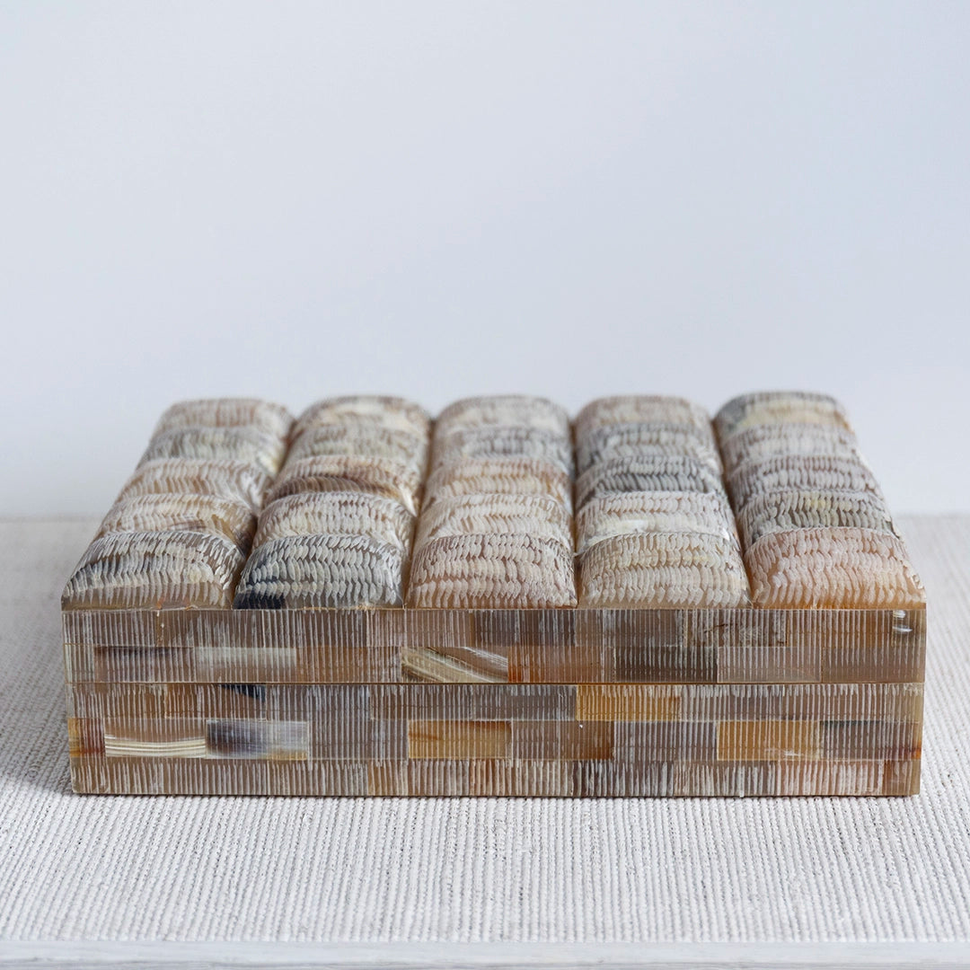 Chiseled Decorative Horn Box