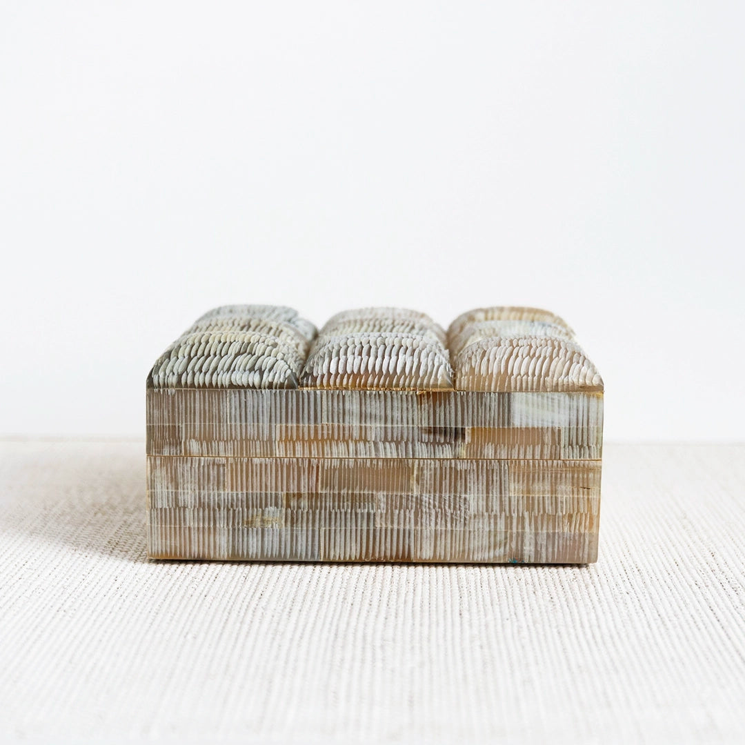 Chiseled Decorative Horn Box