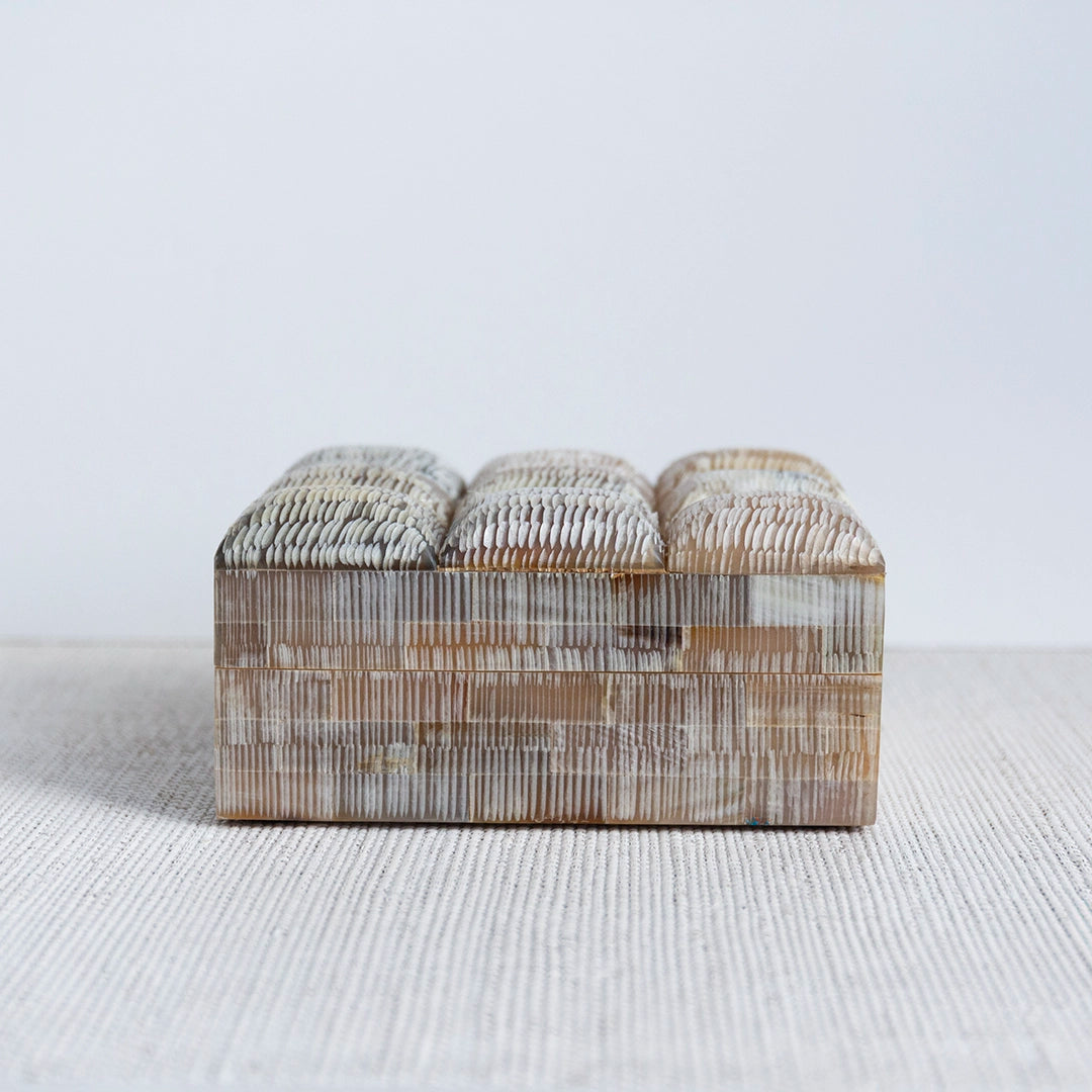 Chiseled Decorative Horn Box