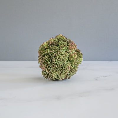 Decorative Sedum Ball