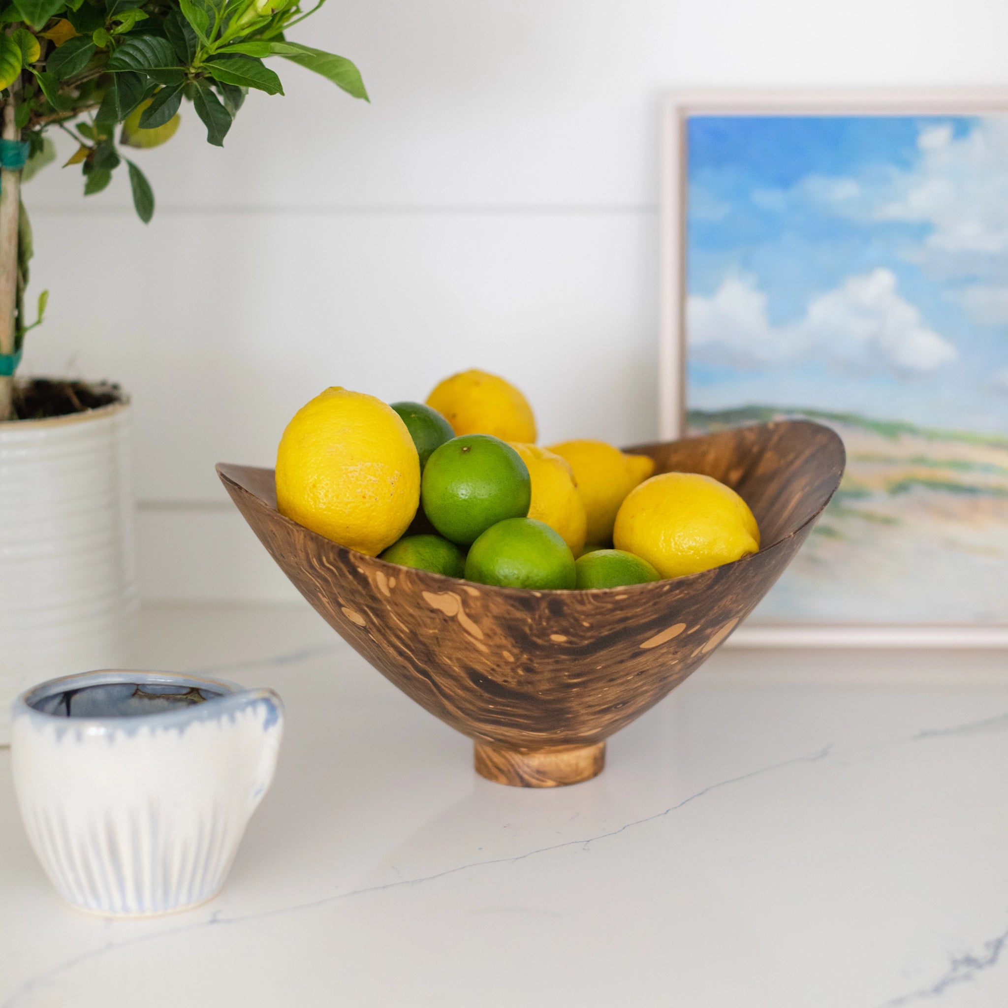 Marbleized Mango Wood Wide Bowl