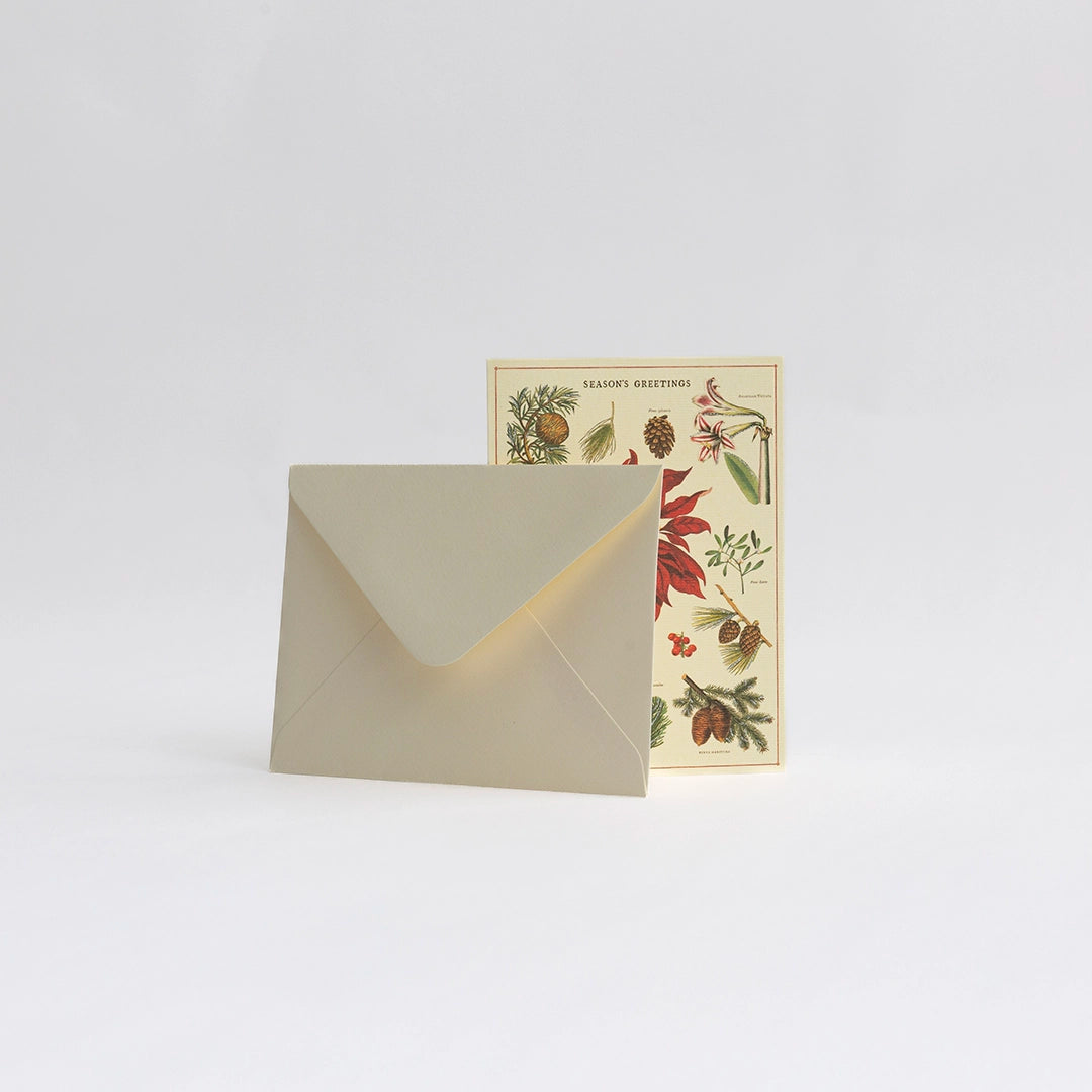 Holiday Botanical Note Cards